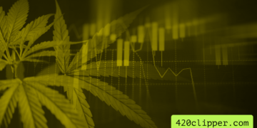 Cannabis plant with stock chart in the background