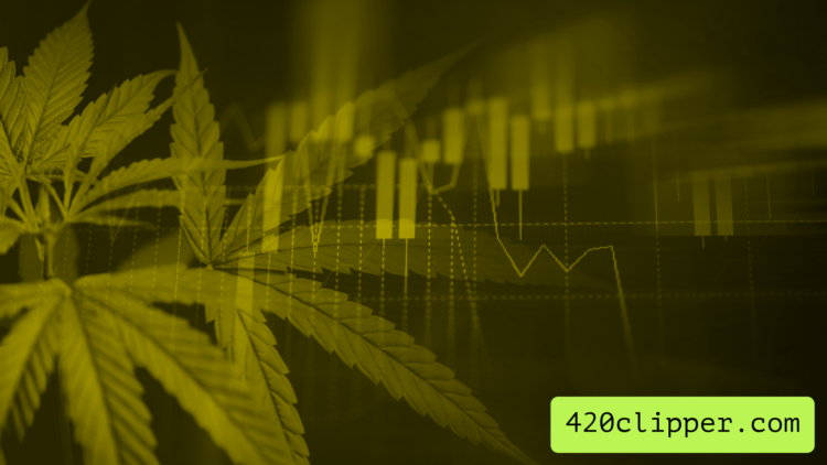 Cannabis plant with stock chart in the background
