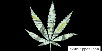 Image of a cannabis leaf made out of a hundred dollar bill.
